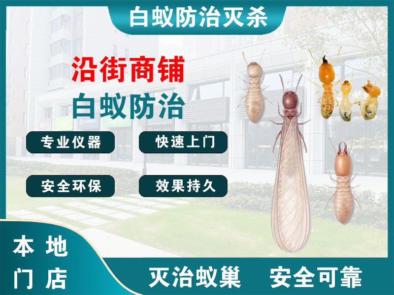 钟楼沿街商铺白蚁防治