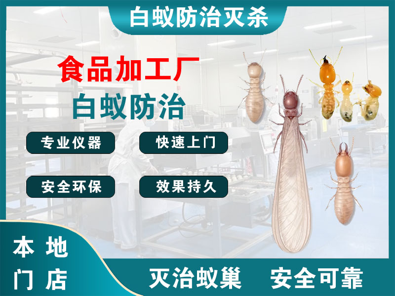 钟楼食品加工厂白蚁防治