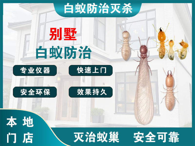 钟楼别墅白蚁防治